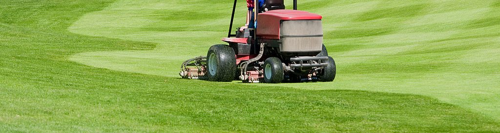 Lokalizacja GPS wspiera ochronę środowiska