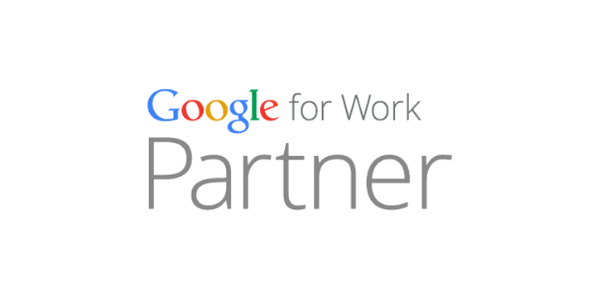 Logo partnera Google