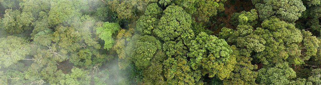 Kontroluj emisję CO2 za pomocą aplikacji CO2control.